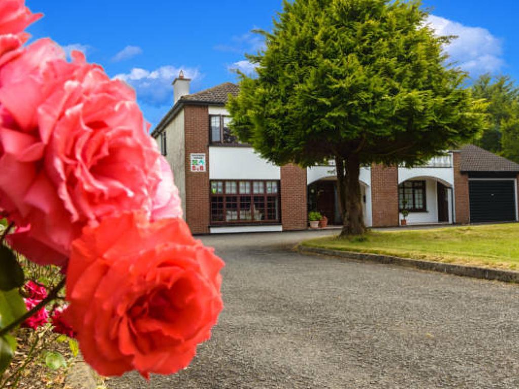 Killowen House B&B Drogheda Eksteriør billede