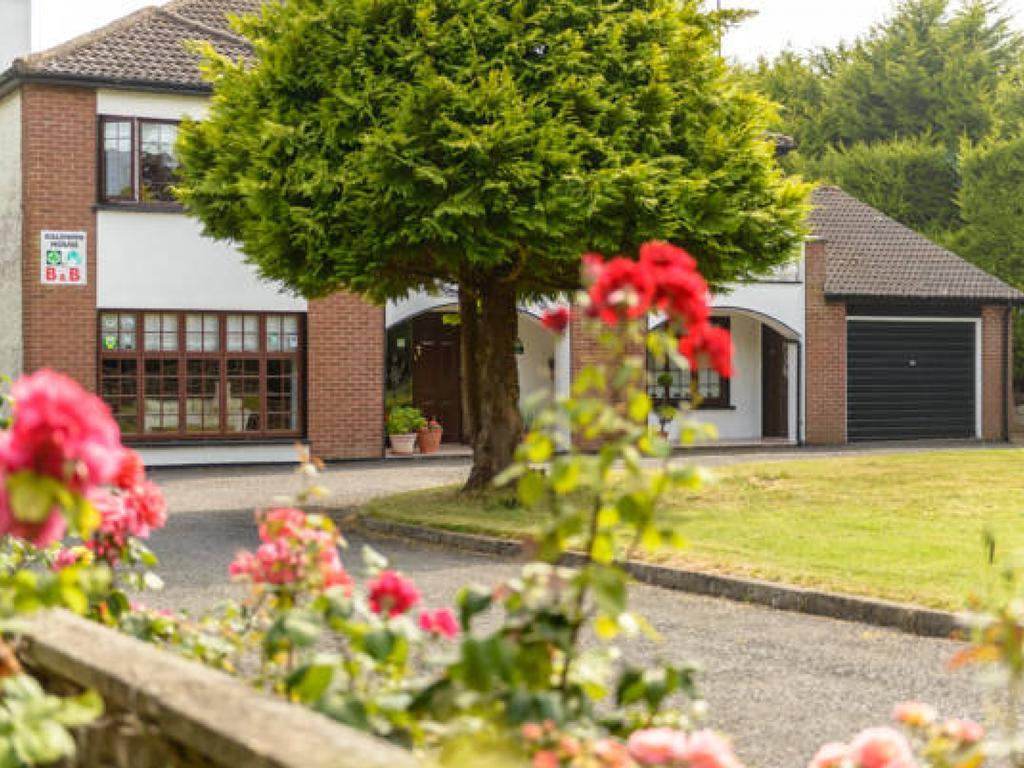 Killowen House B&B Drogheda Eksteriør billede