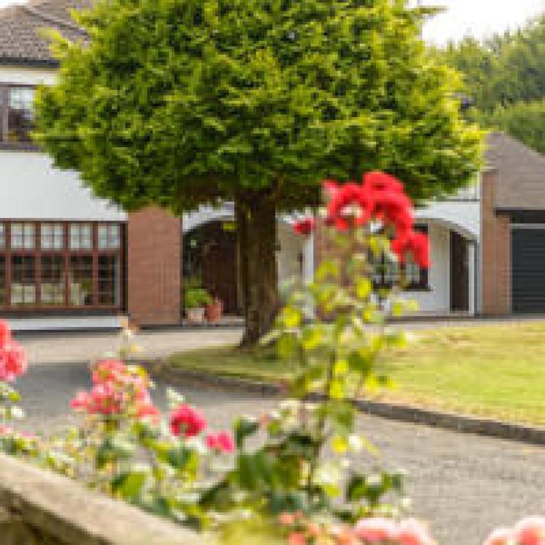 Killowen House B&B Drogheda Eksteriør billede